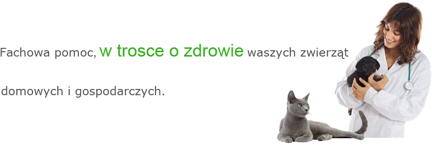 zarządzanie zdrowiem trzody chlewnej łódzkie